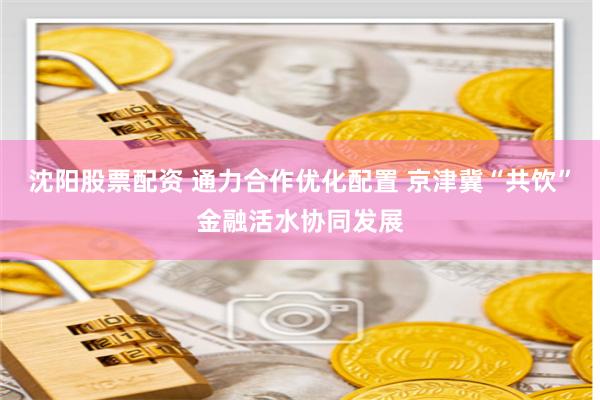 沈阳股票配资 通力合作优化配置 京津冀“共饮”金融活水协同发展