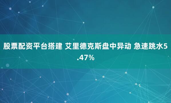 股票配资平台搭建 艾里德克斯盘中异动 急速跳水5.47%
