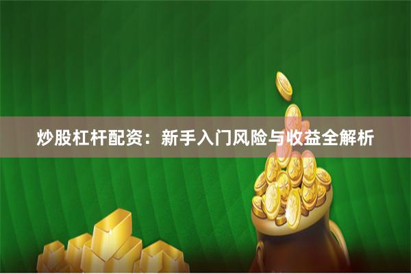 炒股杠杆配资：新手入门风险与收益全解析