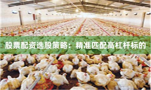 股票配资选股策略：精准匹配高杠杆标的