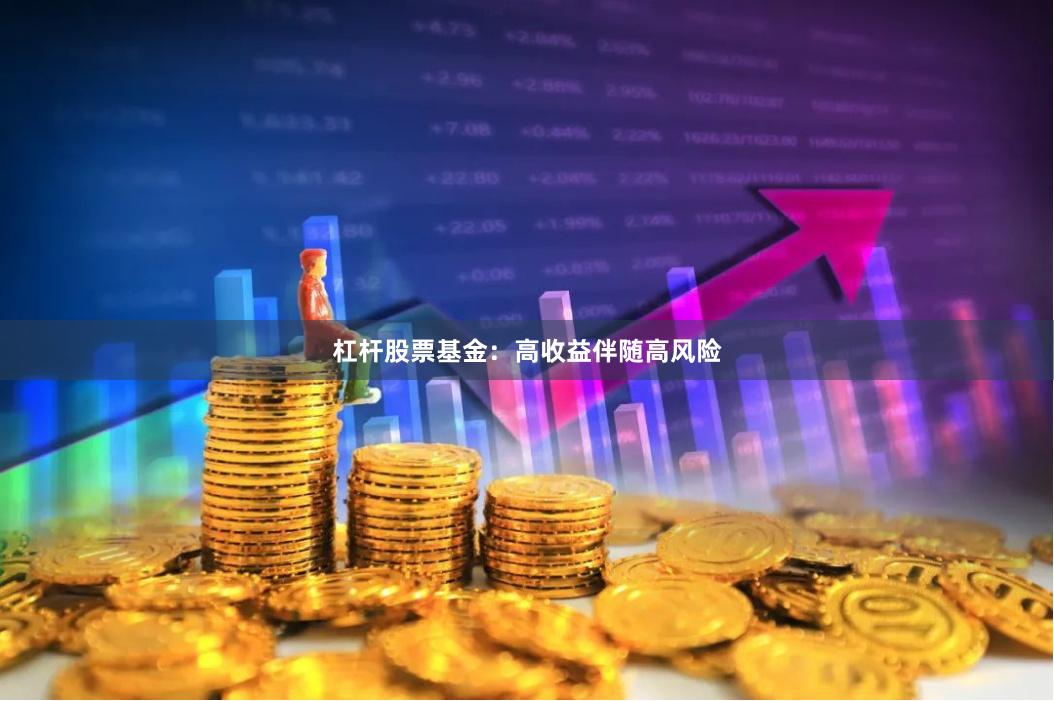 杠杆股票基金：高收益伴随高风险